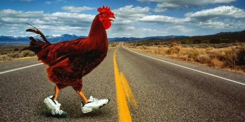 Descubre el Exclusivo Juego de Azar de la Carretera del Pollo en España, chicken road online